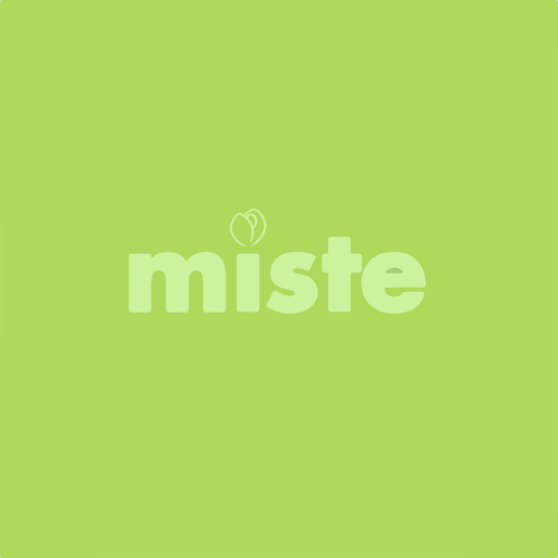 MISTE.KG КУРЬЕР logo