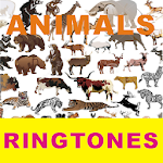 Cover Image of Download Animals ringtones  APK