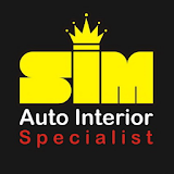 SIM Auto Interior icon