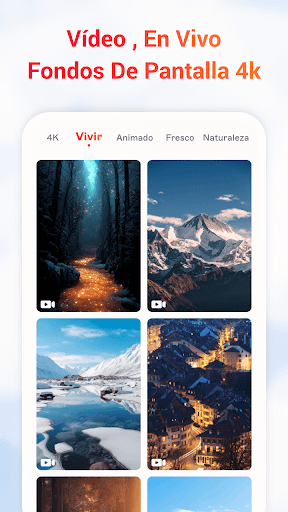 Vista previa de la aplicación