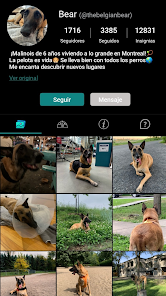 Imagen de la captura de pantalla