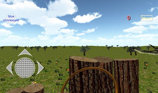 Коллекция бабочек