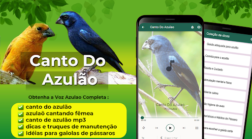Android application Canto Do Azulao Completo screenshort