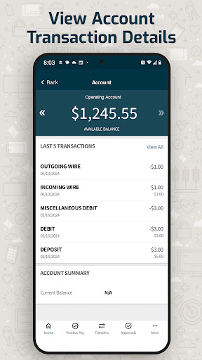 Choice Bank Business Screen 2