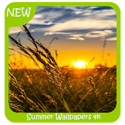 Summer Wallpapers 4k