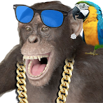 Cover Image of 下载 Funny Talking Monkey  APK