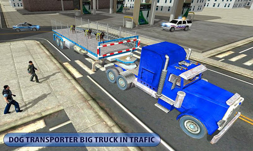 Police Airplane Dog Transport