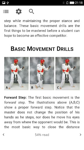 Taekwondo Guide