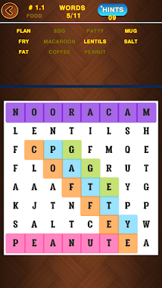 Word Search Puzzle Game - Screenshot 3