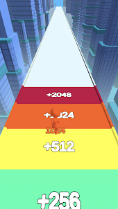 2048 Run