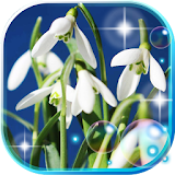 Snowdrops of Forest icon