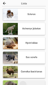 Captura de Pantalla 3 Mamíferos - ¡Aprende todos los android