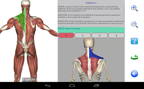 Imágen 19 Visual Anatomy Lite android