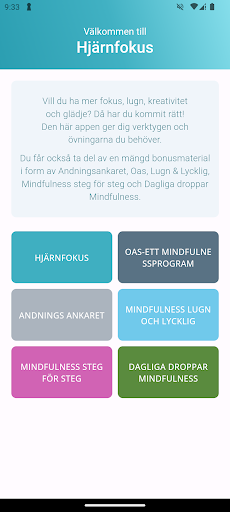 Hjärnfokus Screen 3