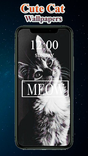 Android application Cute Cat Wallpapers screenshort