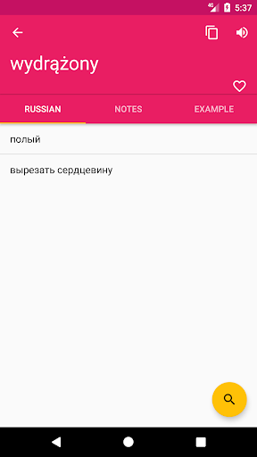 Polish Russian Dictionary Screen 2