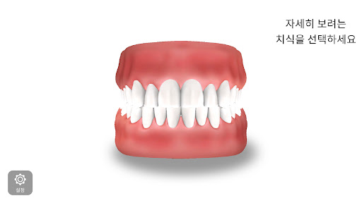 AR-D Morphology Screen 3
