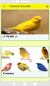 Canary sounds