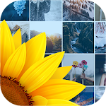 Cover Image of Download Gallery 1.0.10 APK