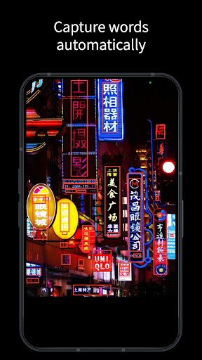 Pinyin Scanner Screen 2