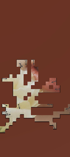 Ant Imagine Screen 2