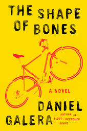 Icon image The Shape of Bones: A Novel