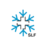 Cover Image of Tải xuống Rủi ro trắng - Ứng dụng SLF Avalanche  APK