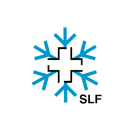 Icon image White Risk - SLF Avalanche App