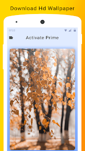 Active prime