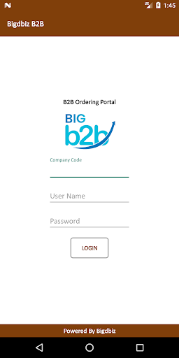 Bigdbiz B2B Order Screen 2