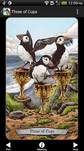 Screenshot of Animal Totem Tarot