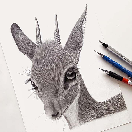 Drawing Animal Guide logo