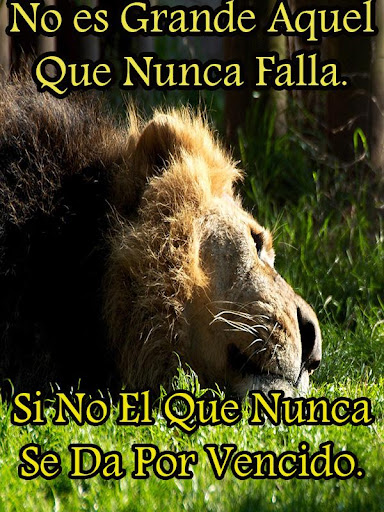 Reflexiones Sobre La Vida By Ganoconapps Google Play United States Searchman App Data Information