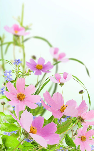 Gentle Flowers Live Wallpaper Screen 2