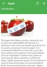 aplicația adamovo apple varicoză