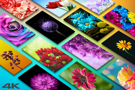 Flower Wallpapers in HD, 4K - Apps on Google Play