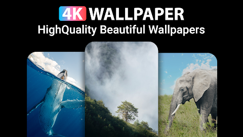 Wallpaper 4K HDのおすすめ画像4