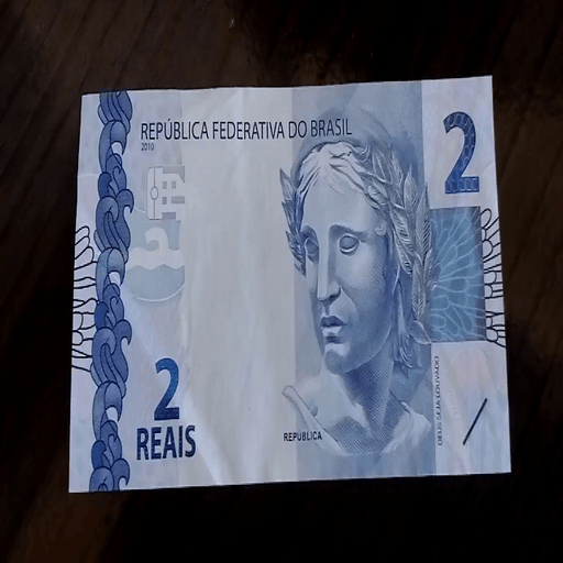 VOCÊ TERIA 2 REAIS ? logo