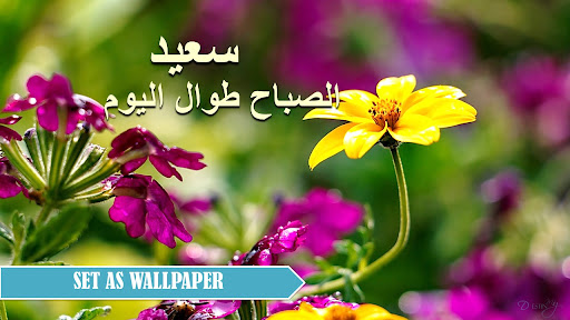 Arabic Wishes Morning to Night Screen 2