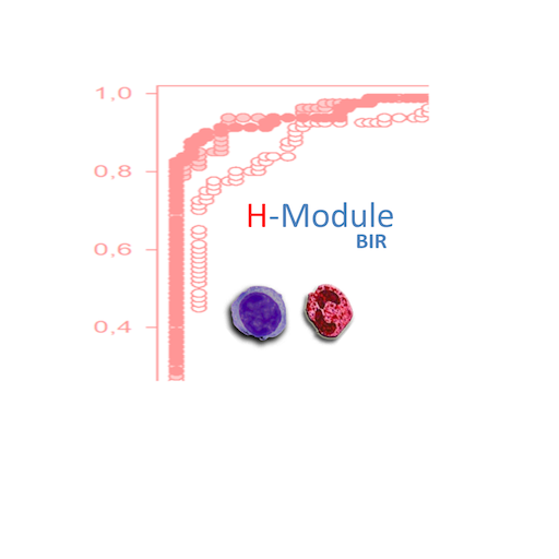 H-Module logo