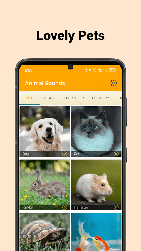 Animal Sounds - enjoy soundsのおすすめ画像4