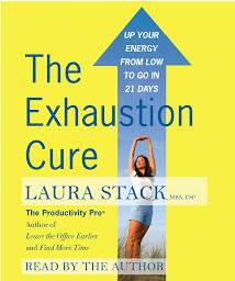 Icon image The Exhaustion Cure: Up Your Energy from Low to Go in 21 Days