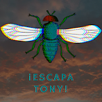 ¡Escapa Tony!