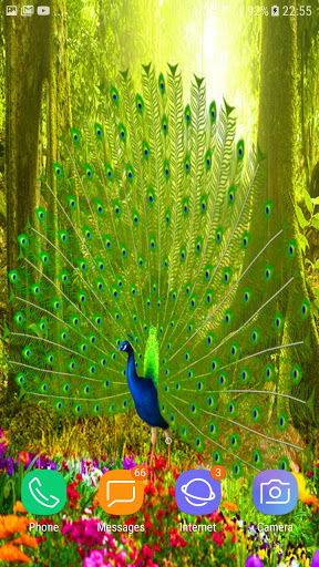 Peacock Live Wallpaper Screen 3