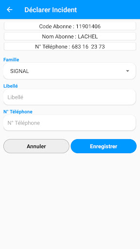NUMERIKA CUSTOMER Screen 2