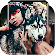Husky Wallpapers