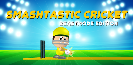 Smashtastic cricket game
