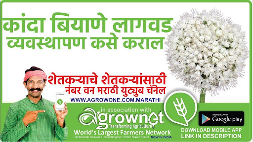 तूर लागवड #Agrownet™ Screen 2