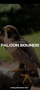 Falcon sounds