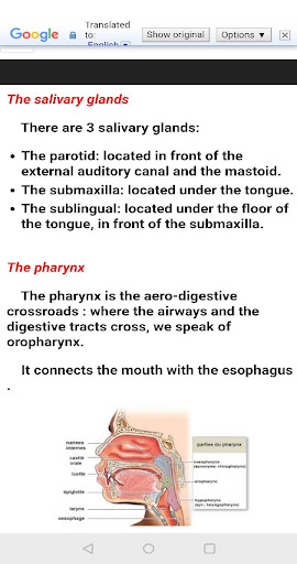 Anatomy - Physiology